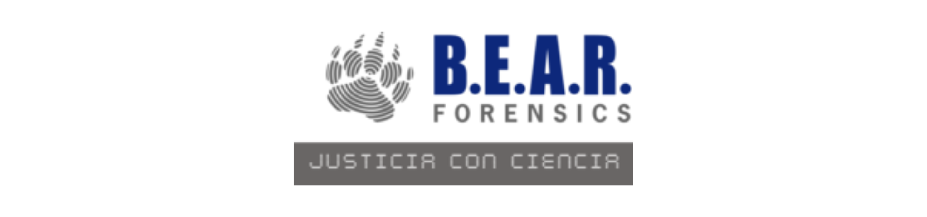Diseño sin título - 2023-11-16T182509.297