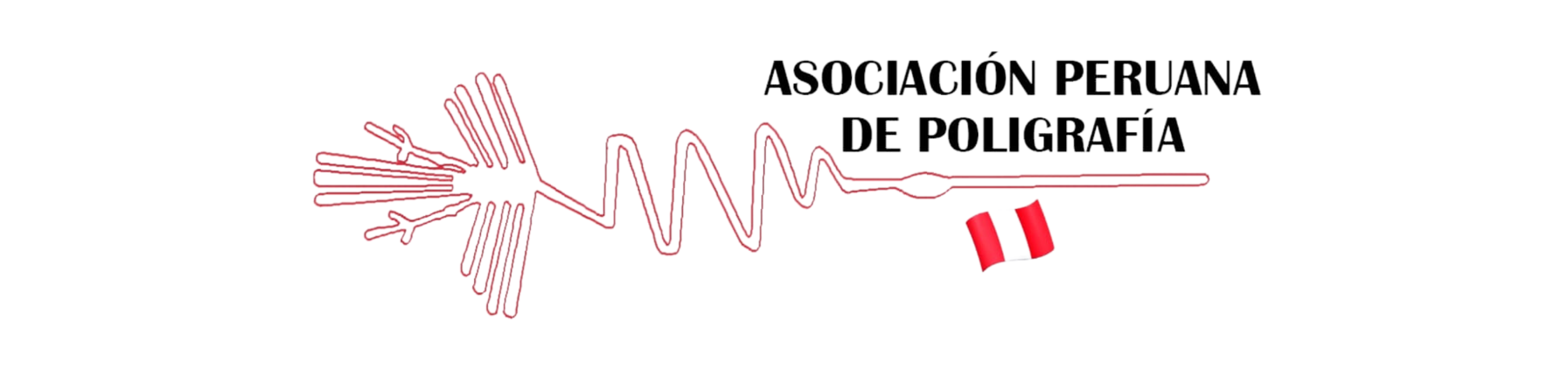 Diseño sin título - 2023-11-16T182521.739